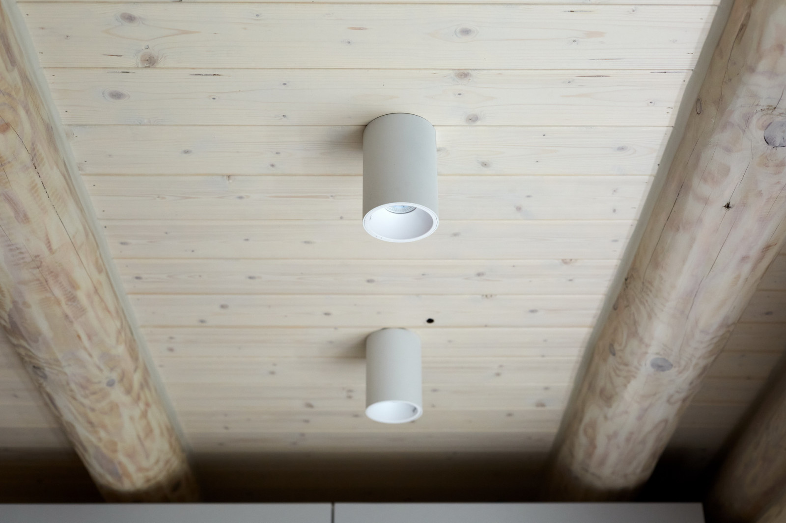 В гостях у сказки