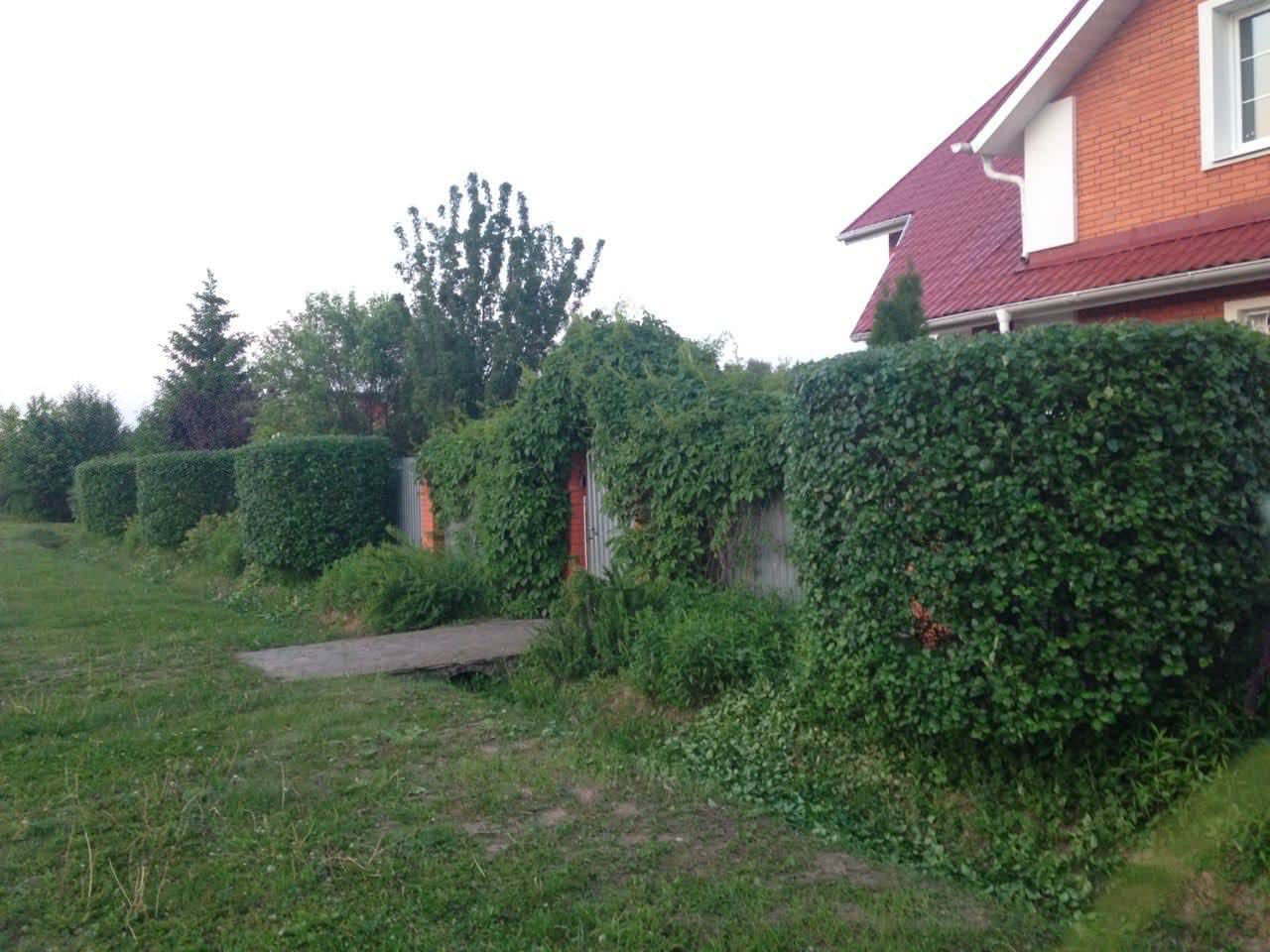 Бронницы