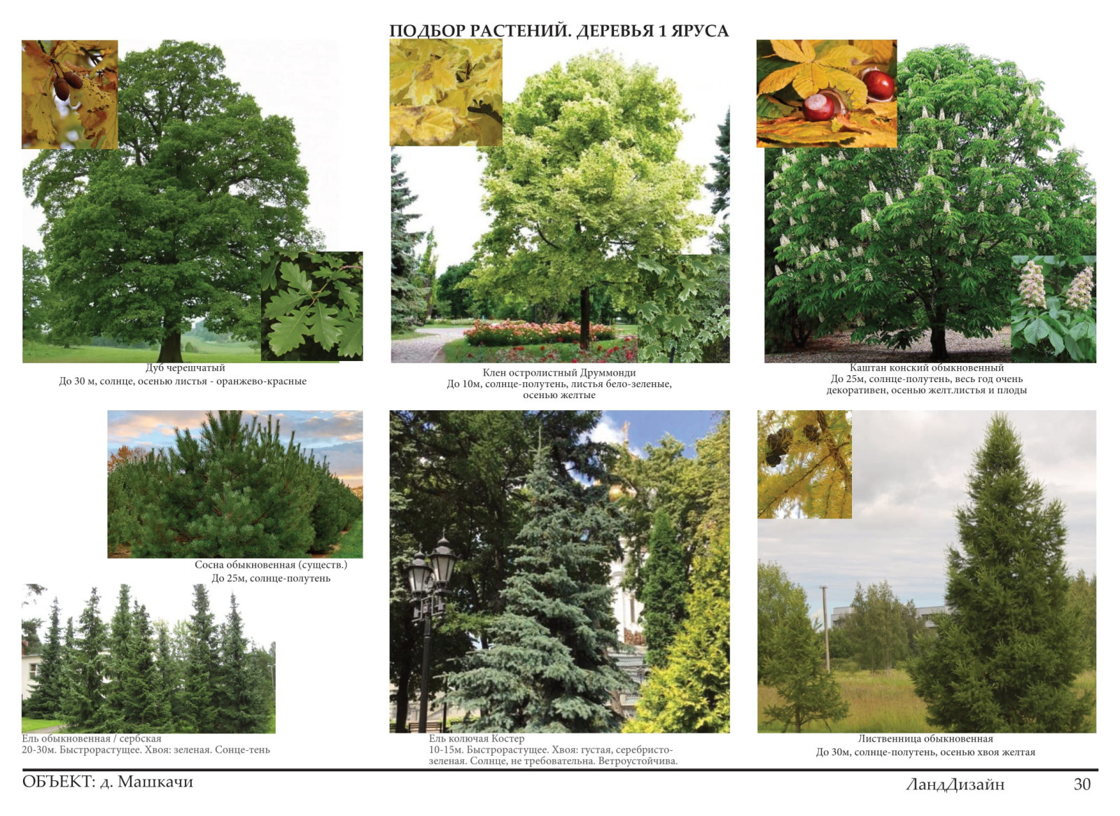 Проект ландшафтного дизайна 2