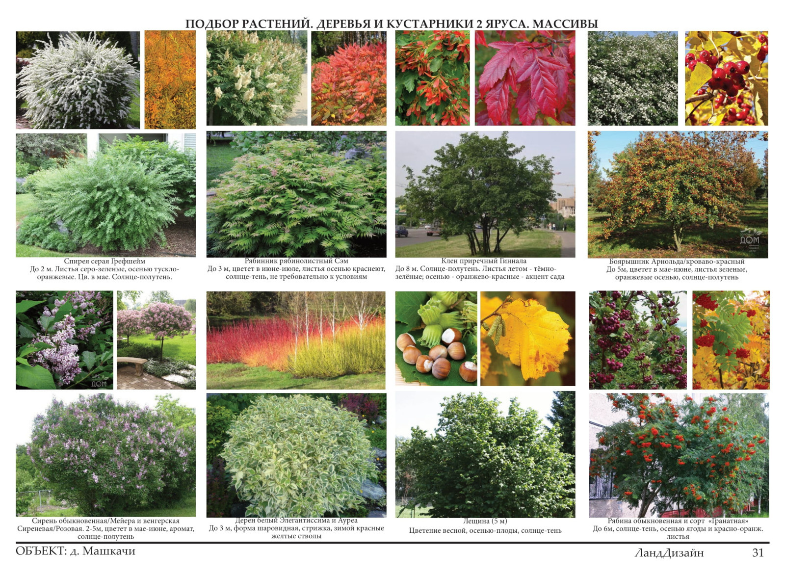 Проект ландшафтного дизайна 2