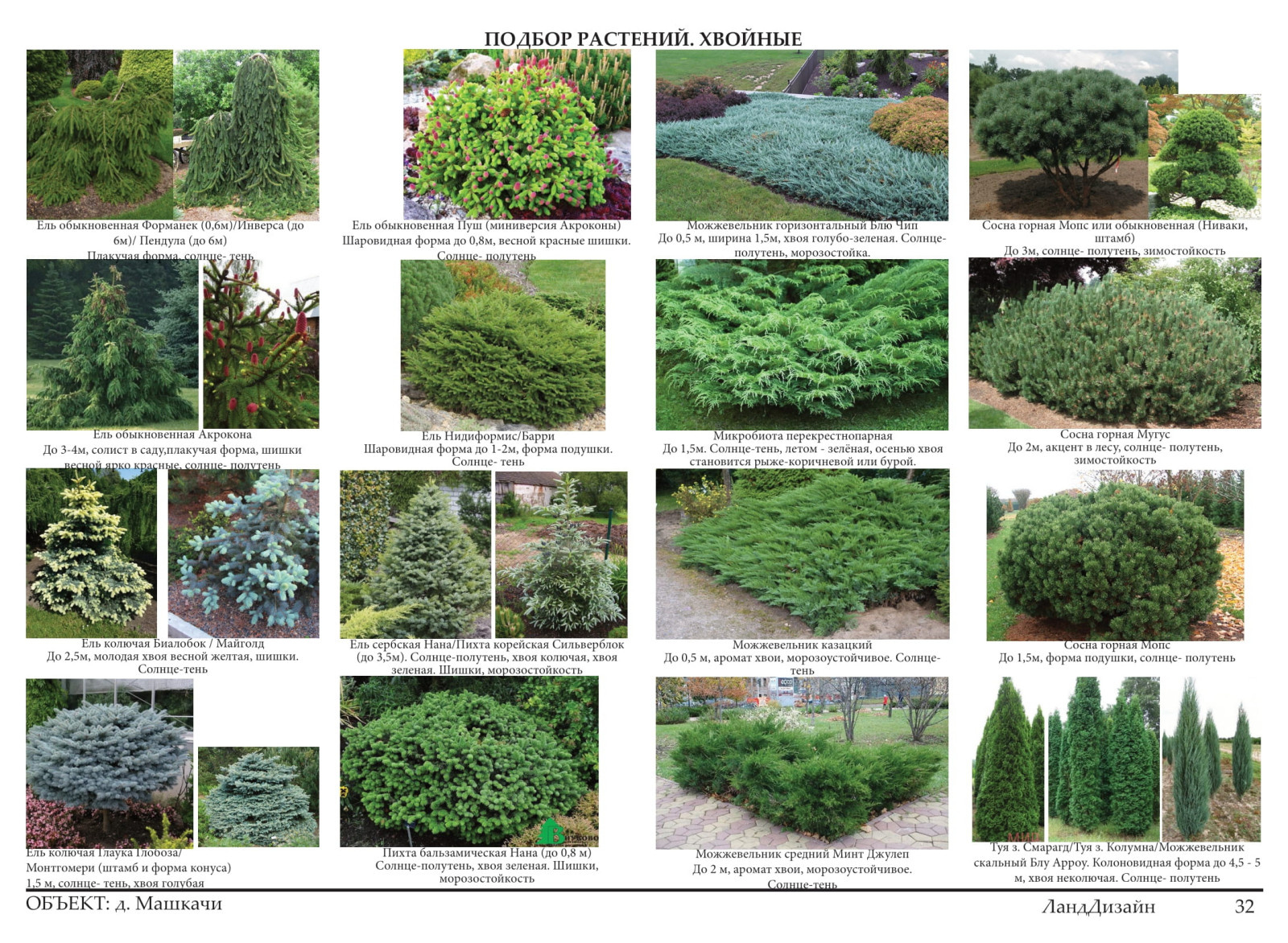 Проект ландшафтного дизайна 2