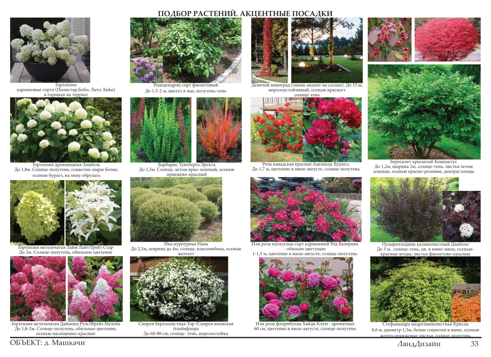 Проект ландшафтного дизайна 2