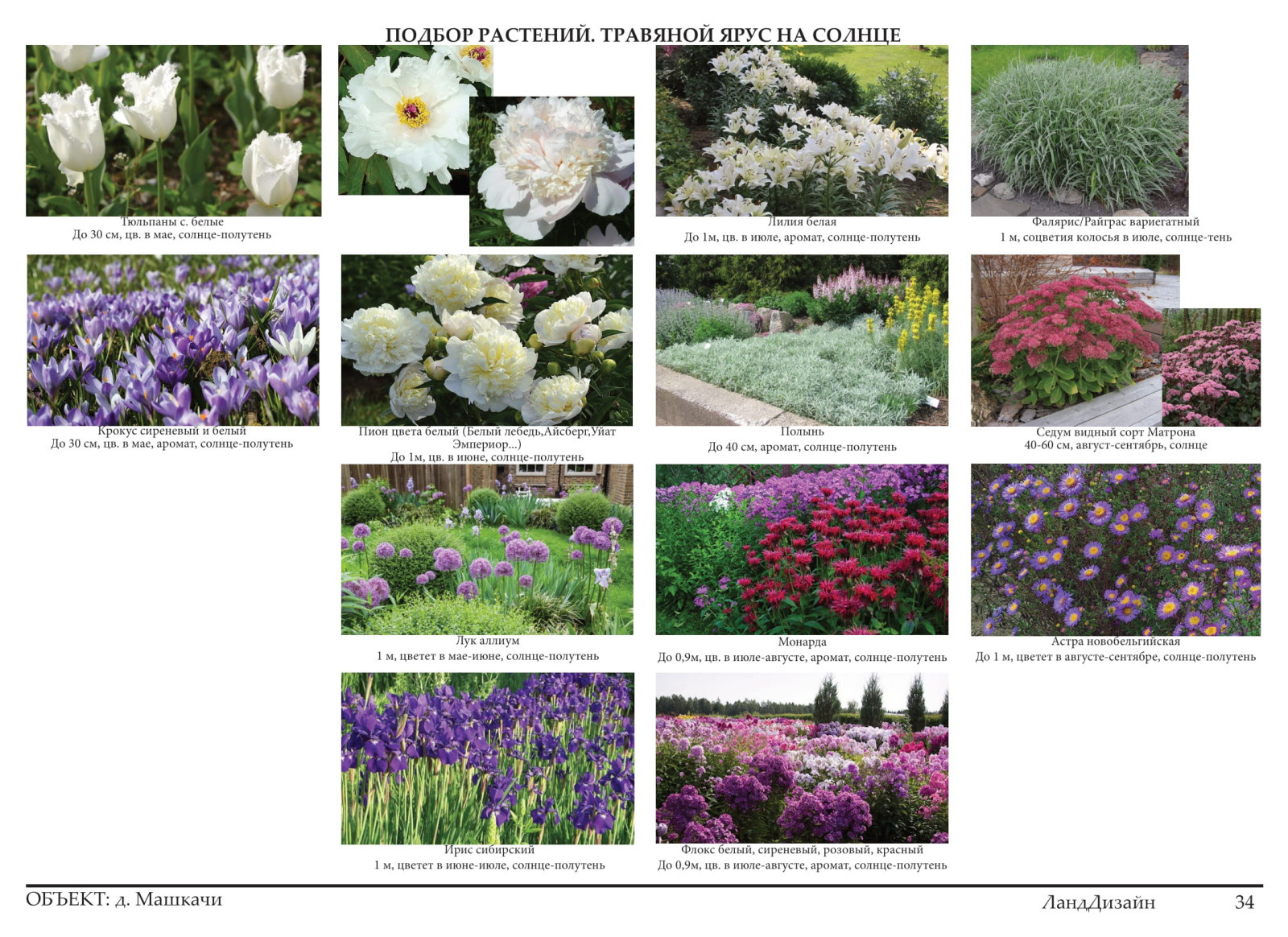 Проект ландшафтного дизайна 2