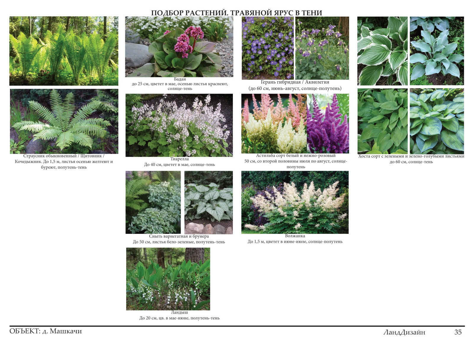 Обложка проекта: Проект ландшафтного дизайна 2