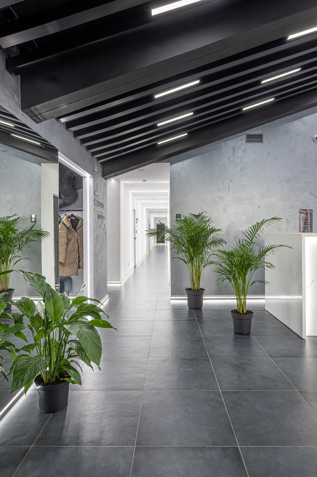 New Fit Studio в Санкт-Петербурге
