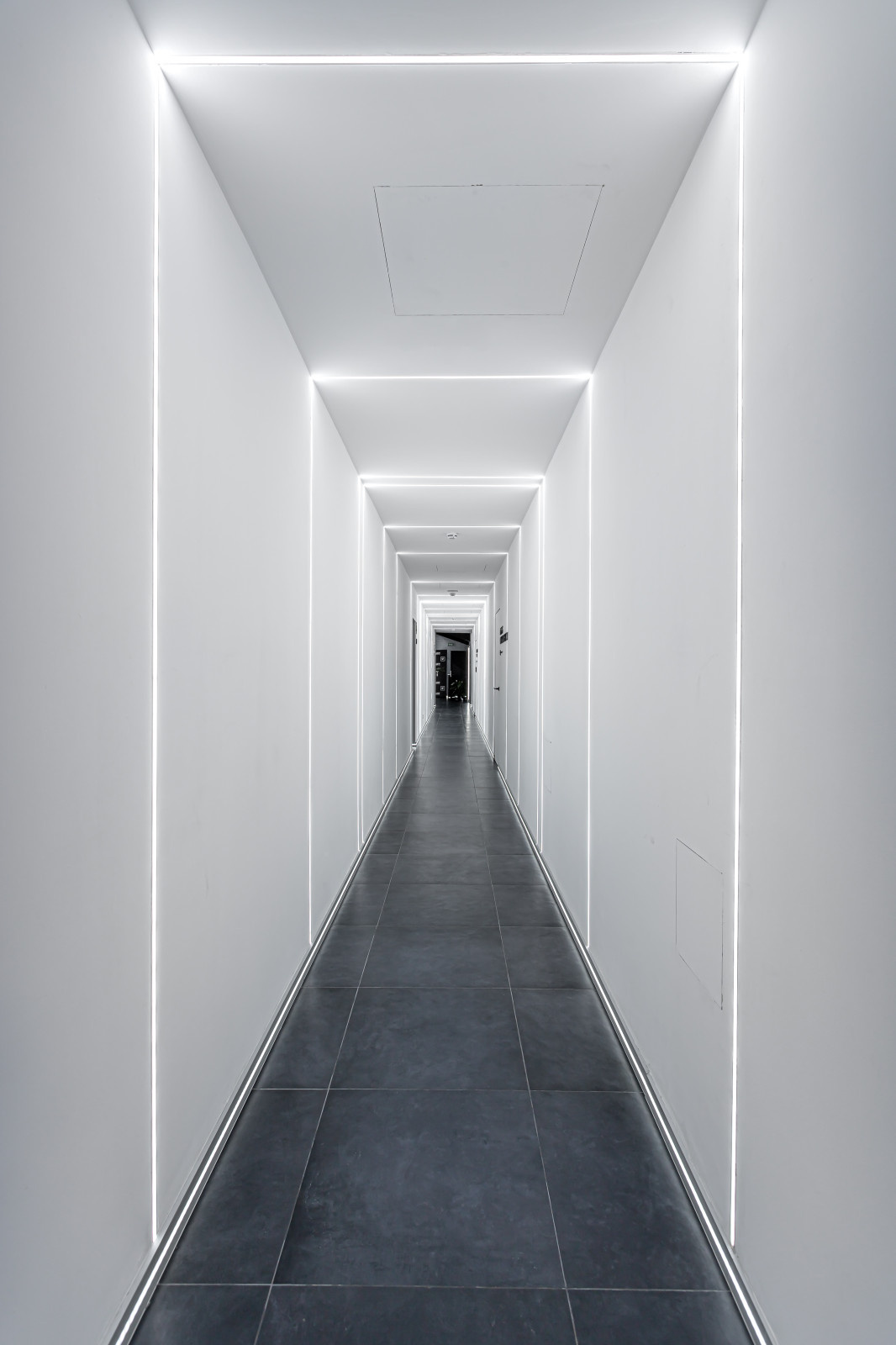 New Fit Studio в Санкт-Петербурге