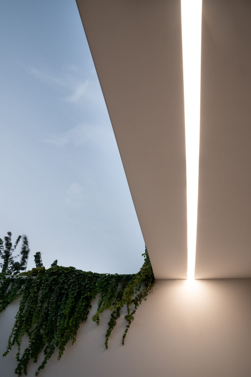 Белый дом на юге России