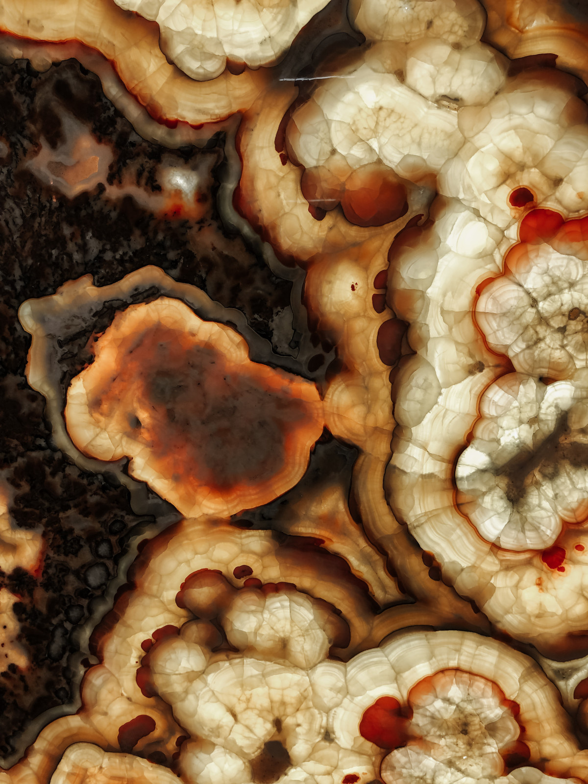 ЖК "Шпалерная 60"