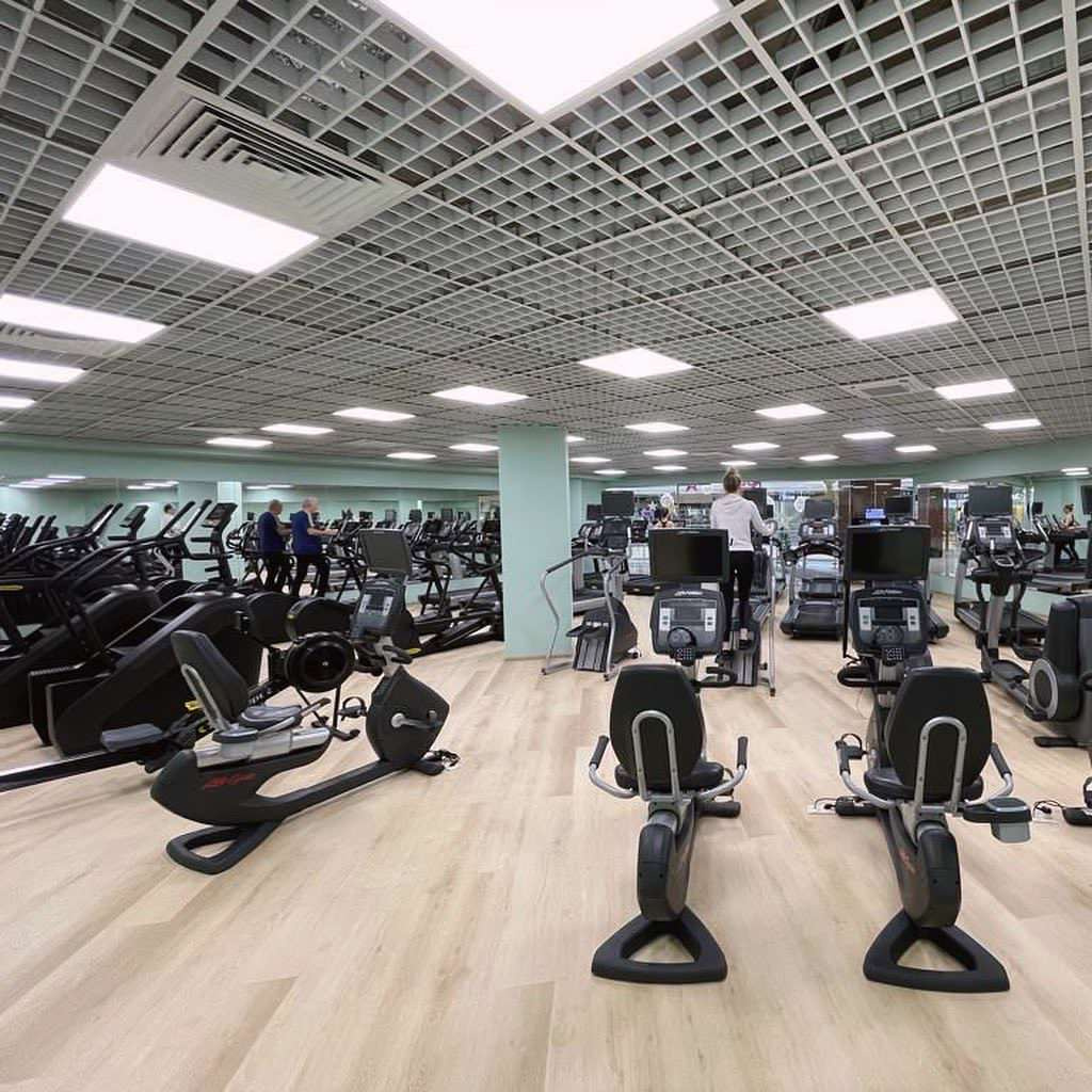 Обложка проекта: Винил WINEO для Fitness House