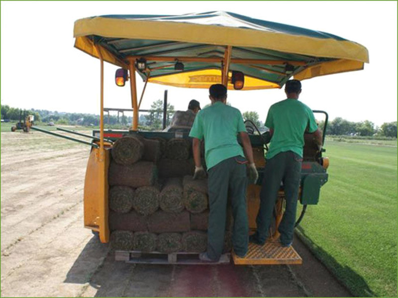 Производство и реализация рулонного газона
