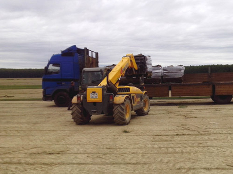 Производство и реализация рулонного газона