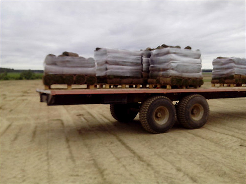 Производство и реализация рулонного газона