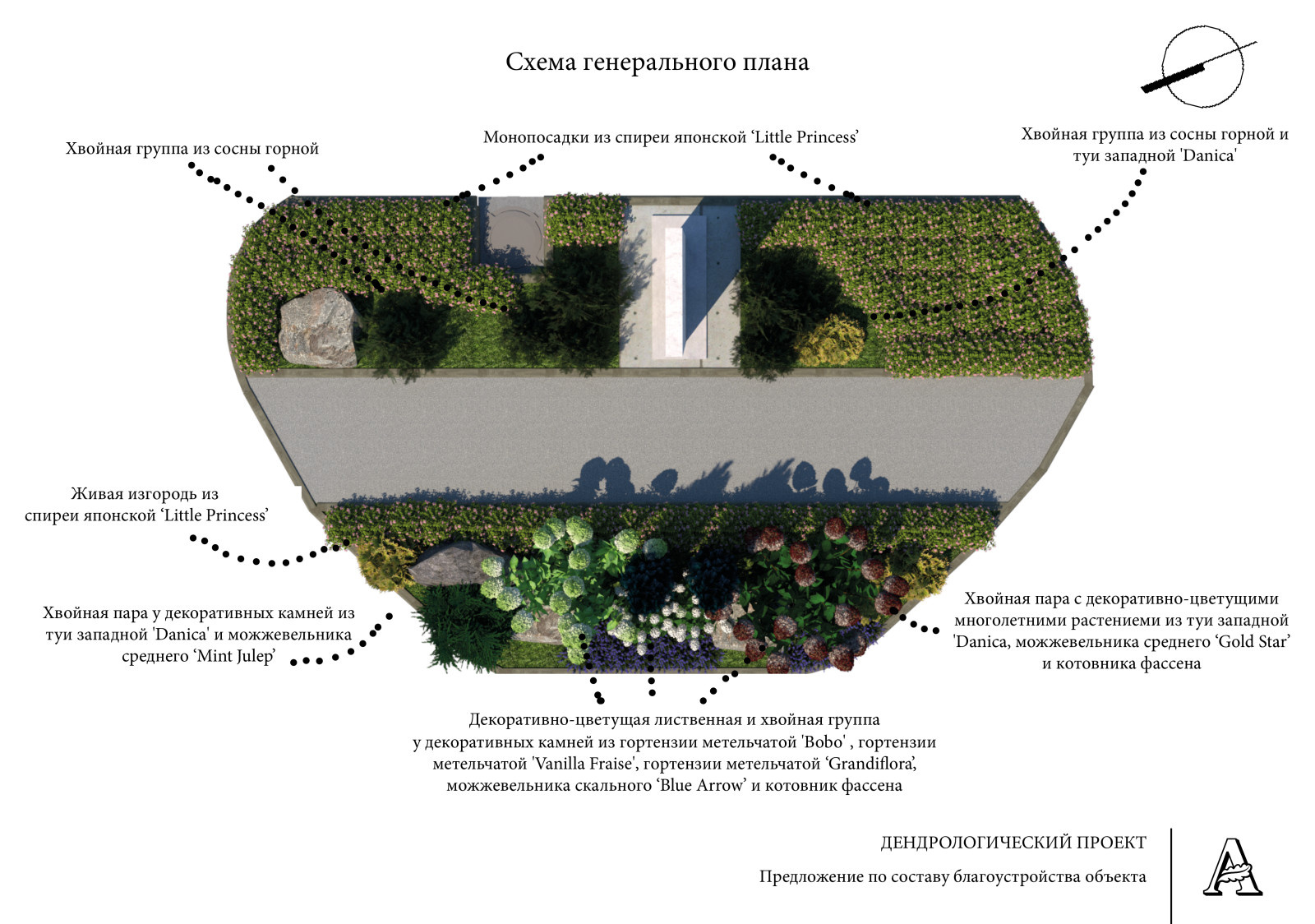 Дендрологический проект цветника. Гостиница "Гатчина". Реализация
