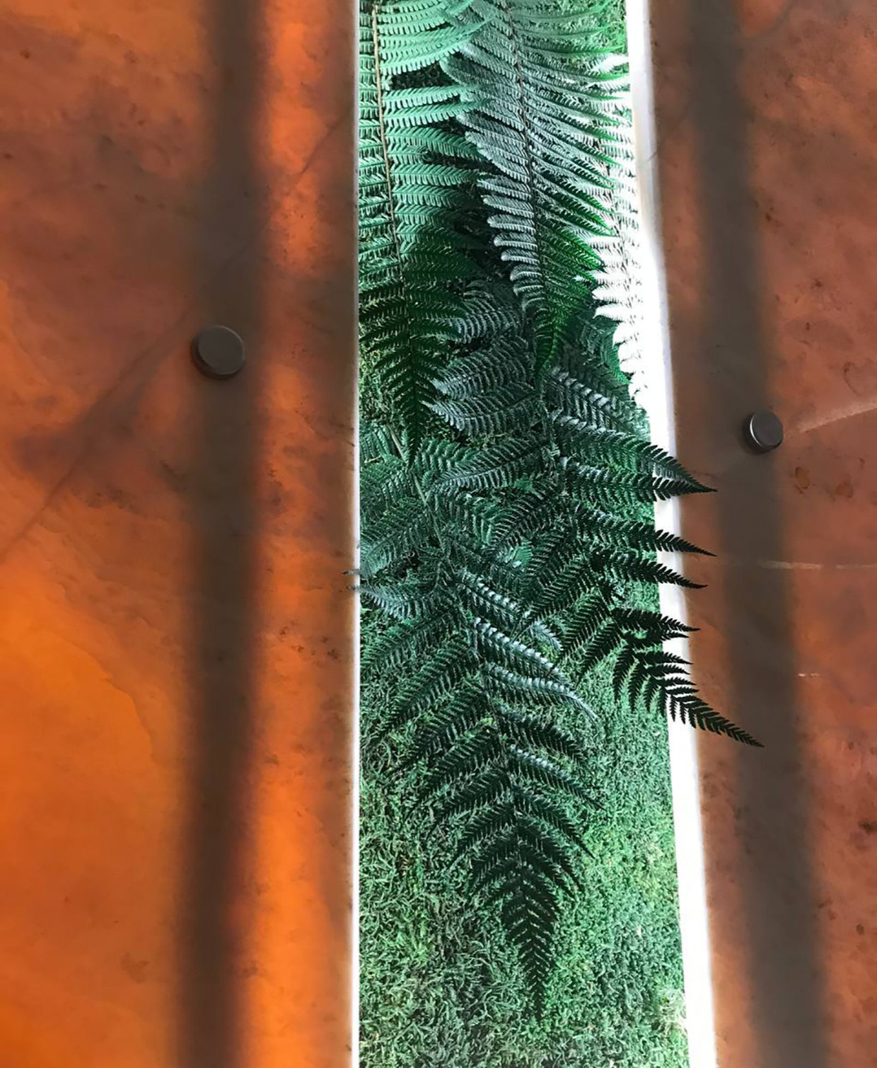 Спа-зона частного домовладения