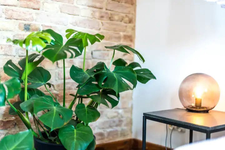 Реализованные проекты