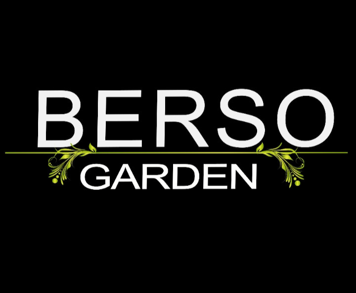 С любовью Винсент