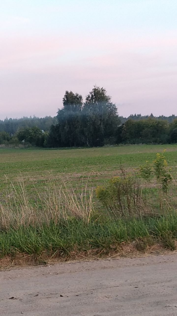 Фотокартина