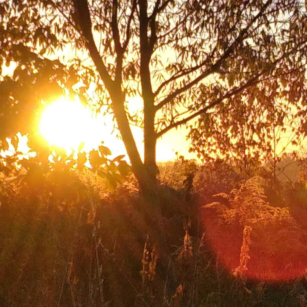 Фотокартина