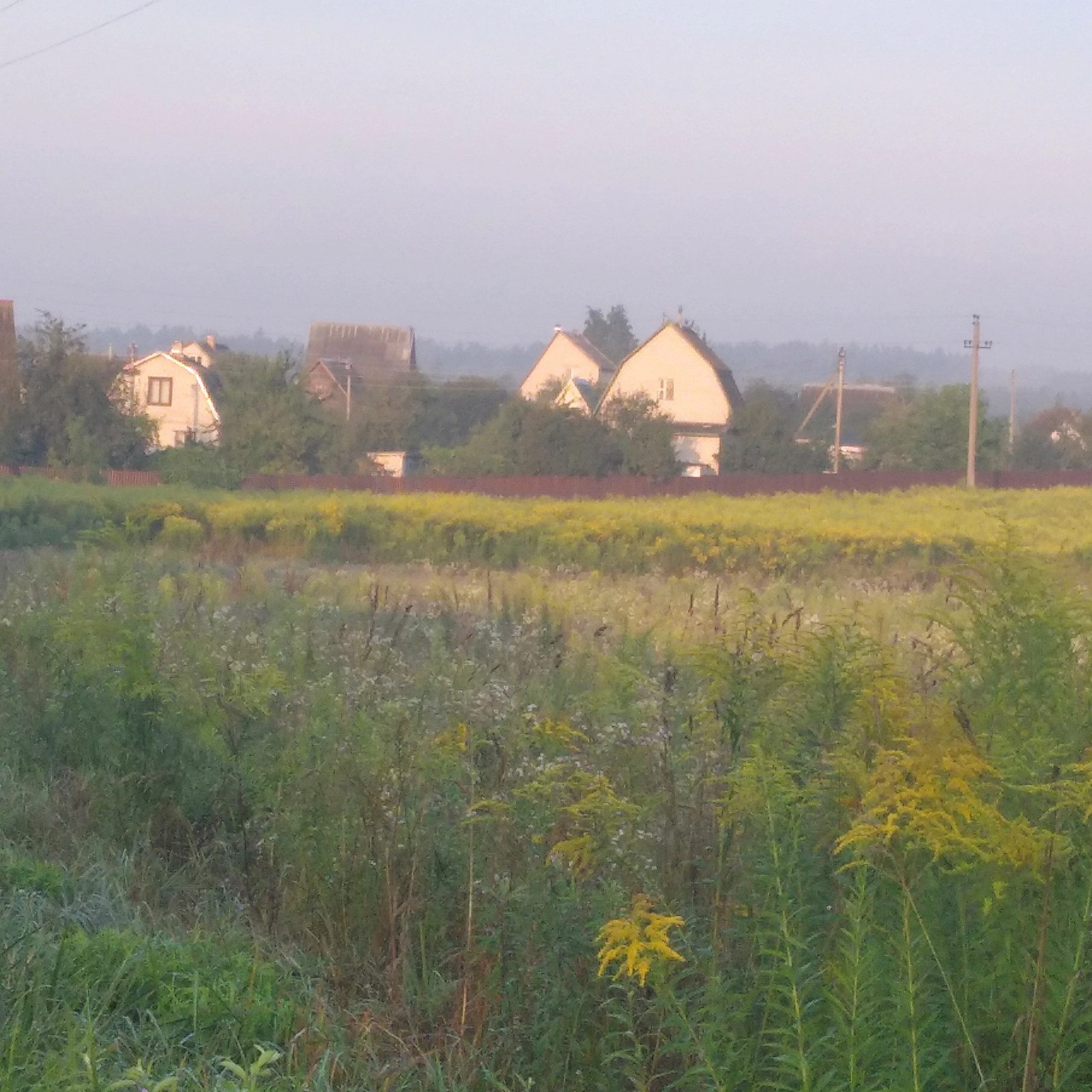 Фотокартина