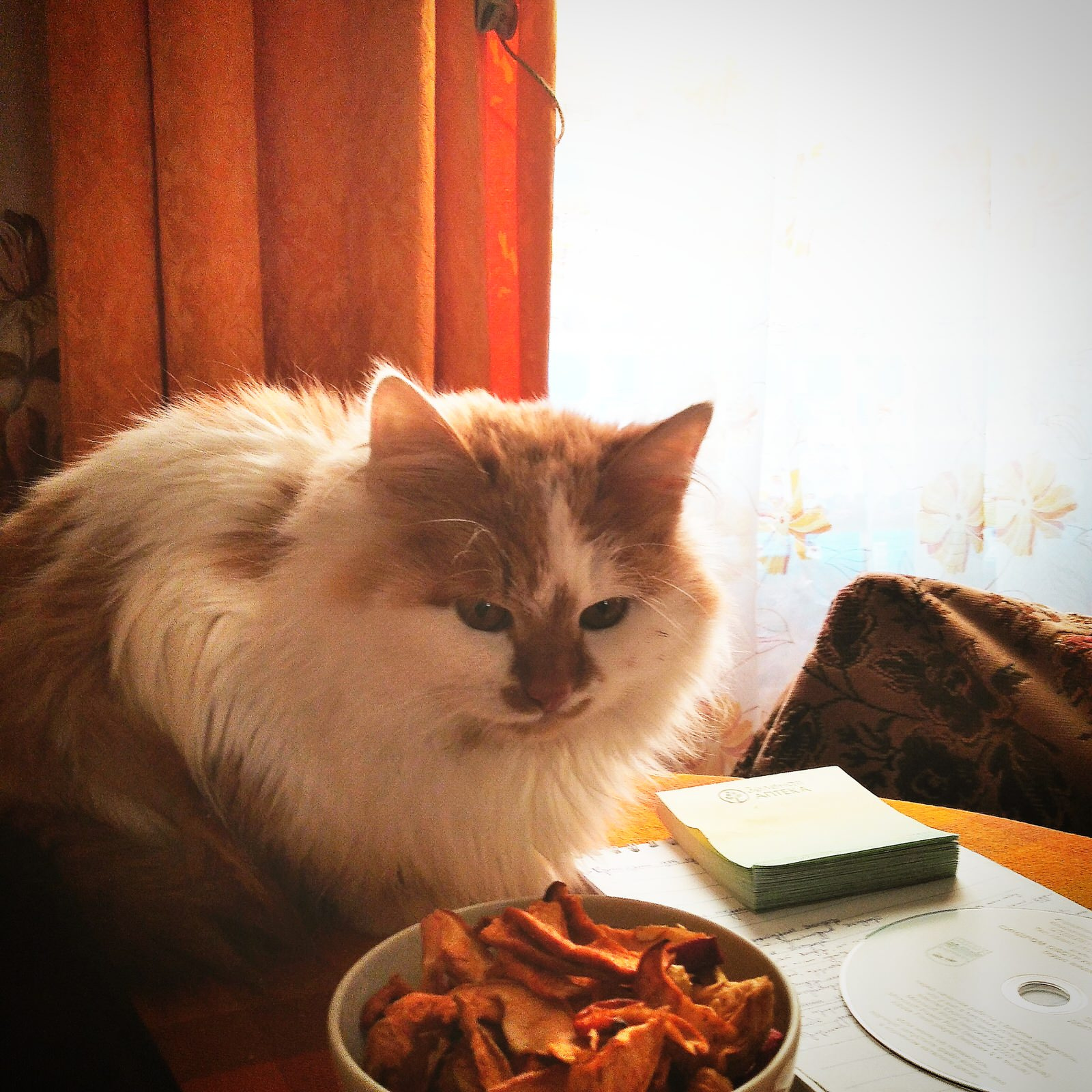 Фотокартина