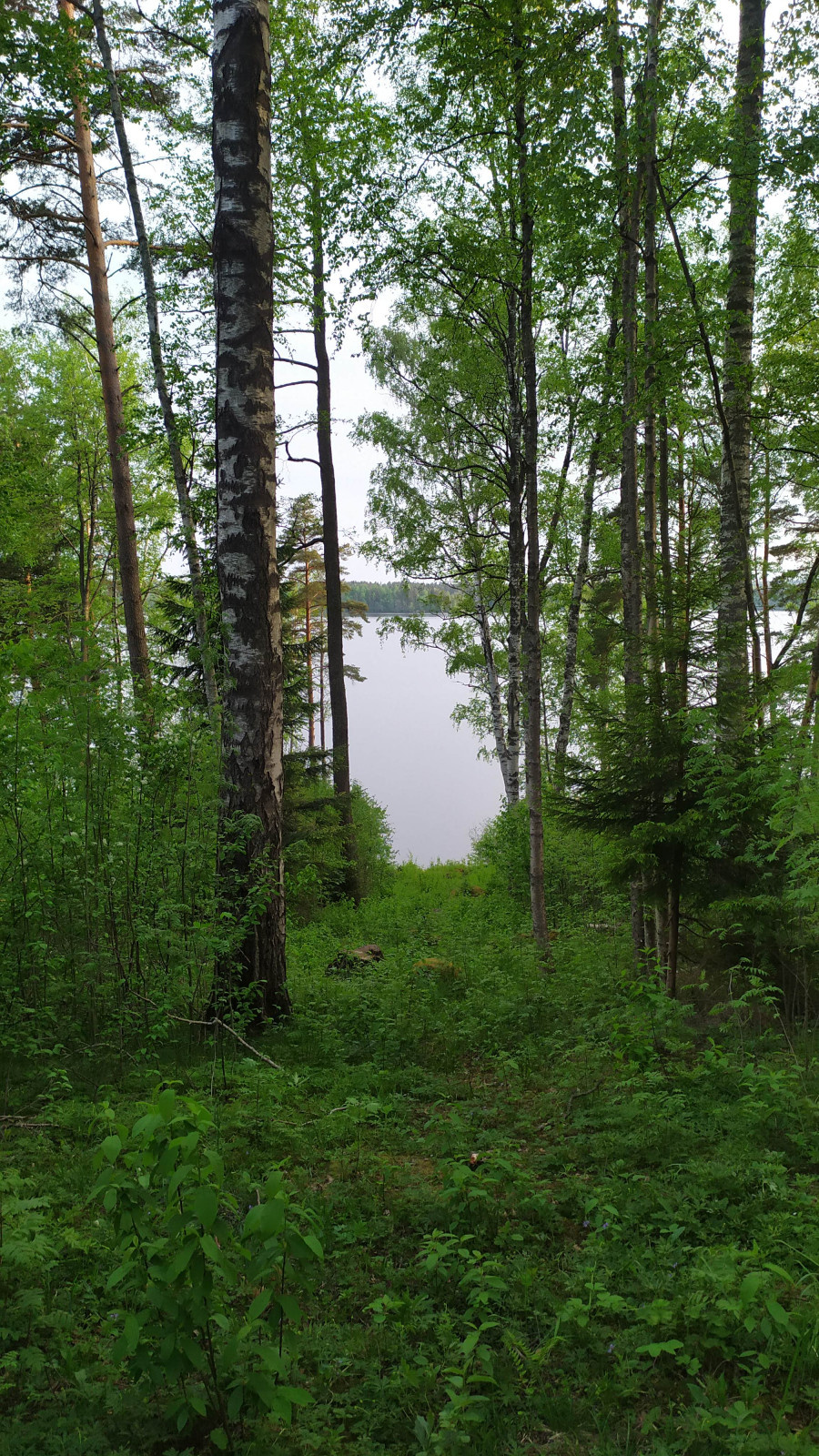Заозерье