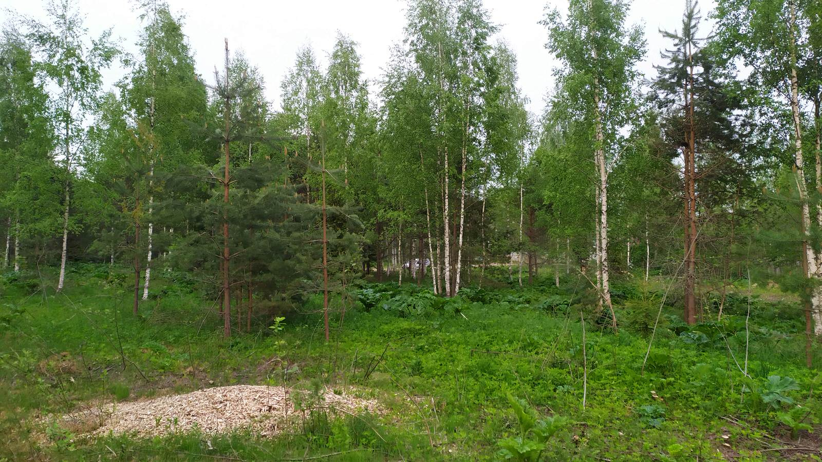 Заозерье