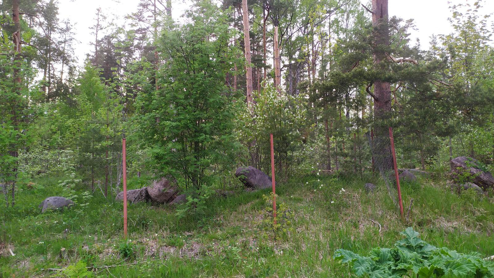 Заозерье