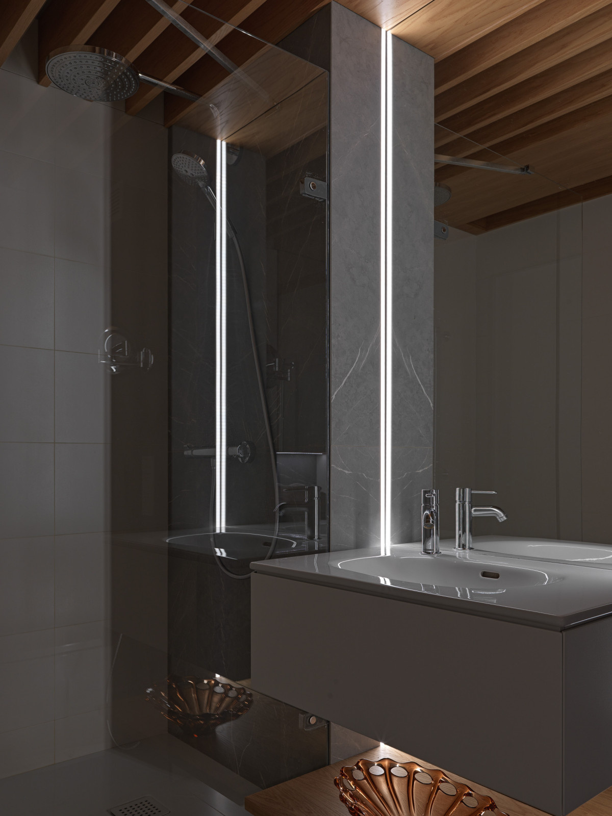 Проект Лебедь