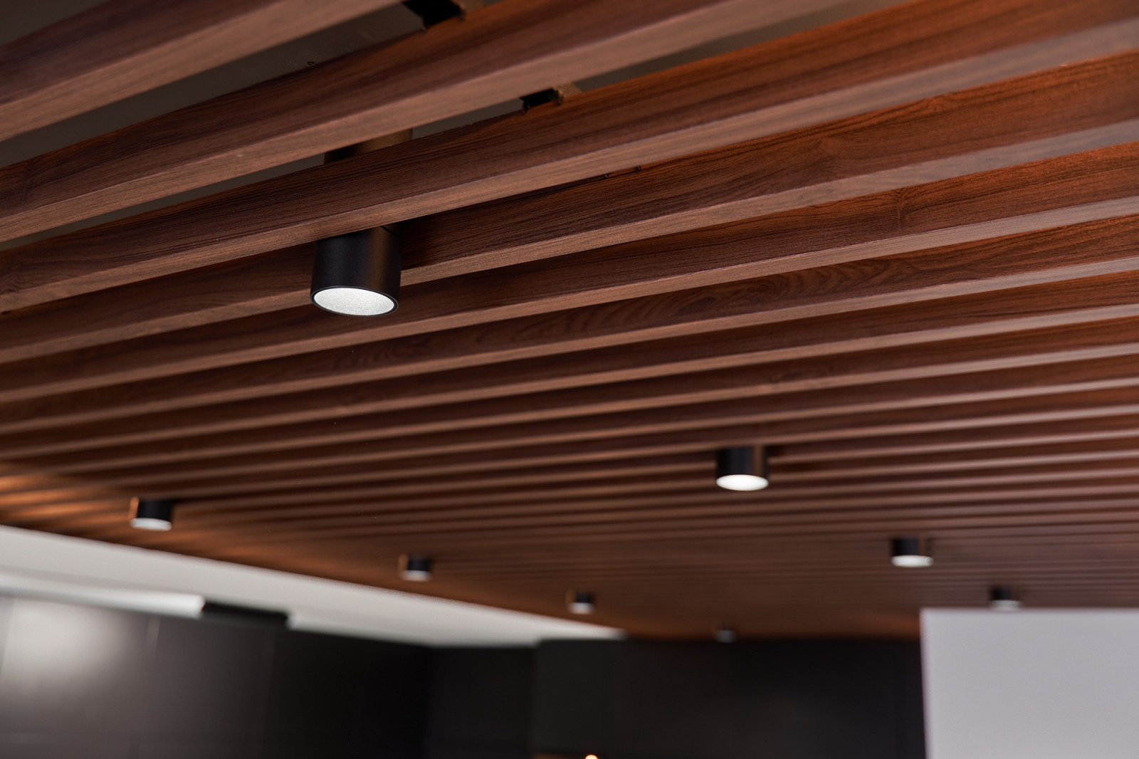 Проект трехкомнатной квартиры, S=99,3 кв.м.