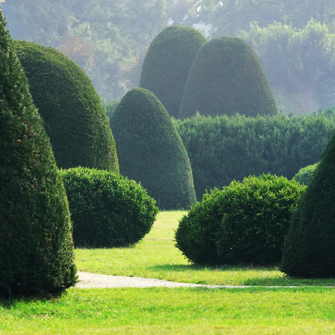 Завершенные проекты