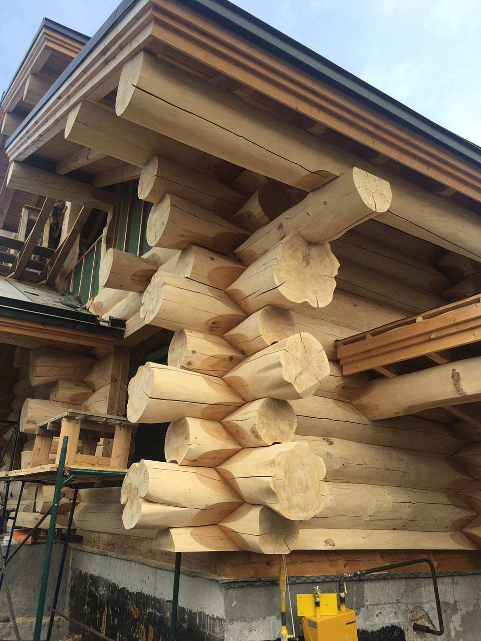 Атмосфера ( канадская рубка )