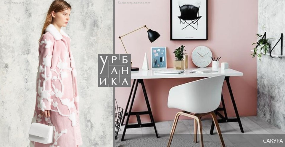 Создание коллекций бренда Урбаника