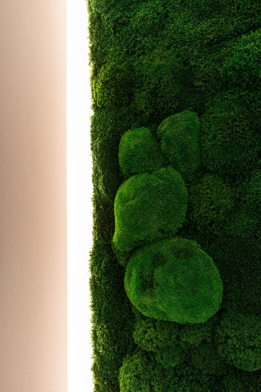 Интерьер жилого апартамента