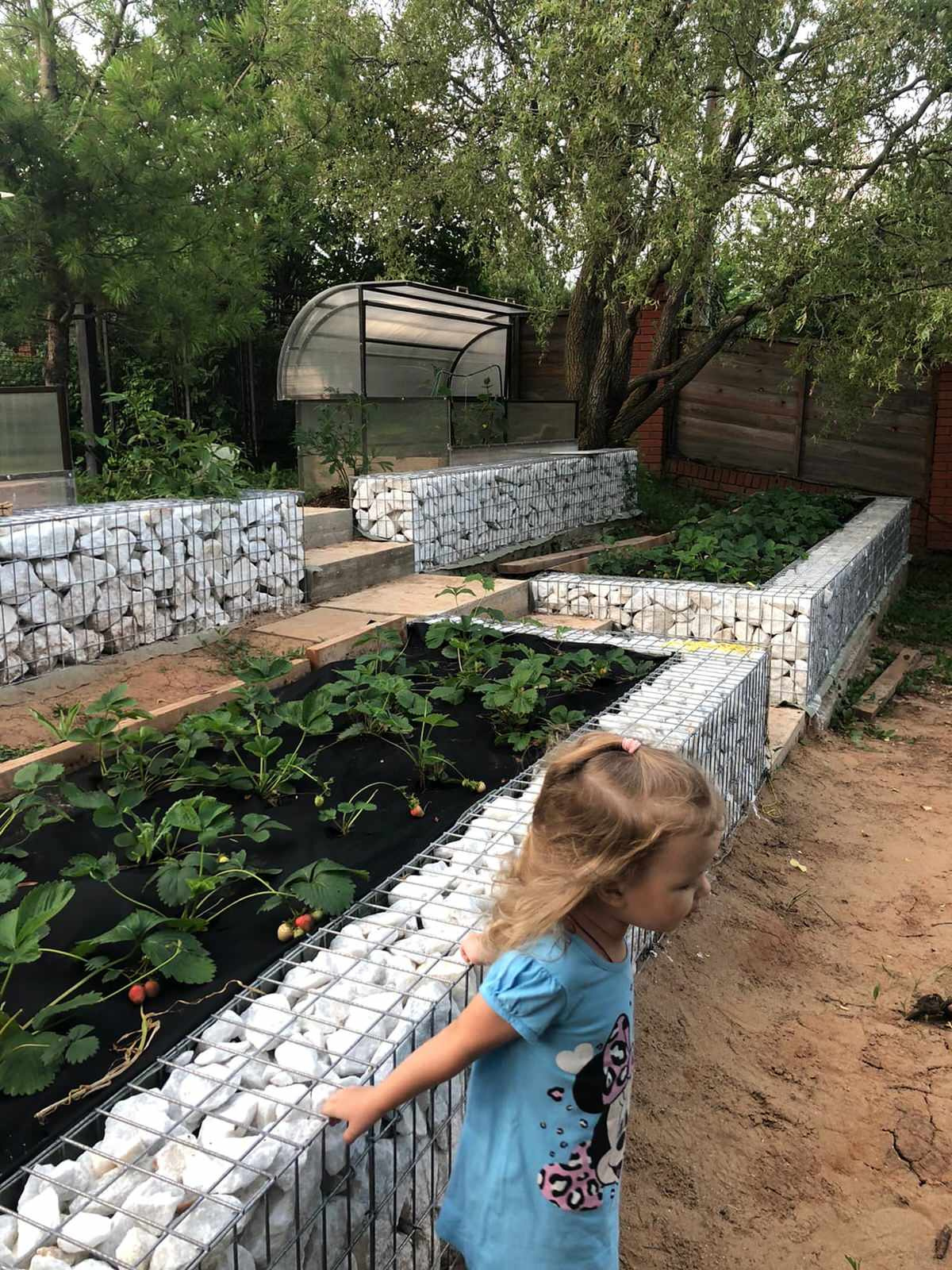 Проект участка с перепадами высот