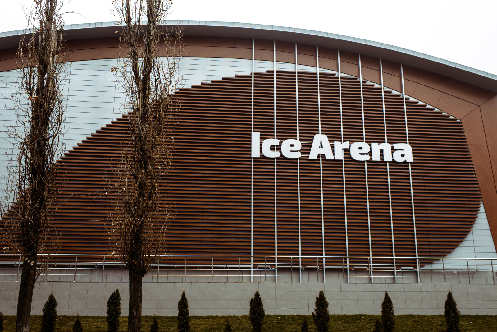 Спортивно ледовый комплекс Ace Arena