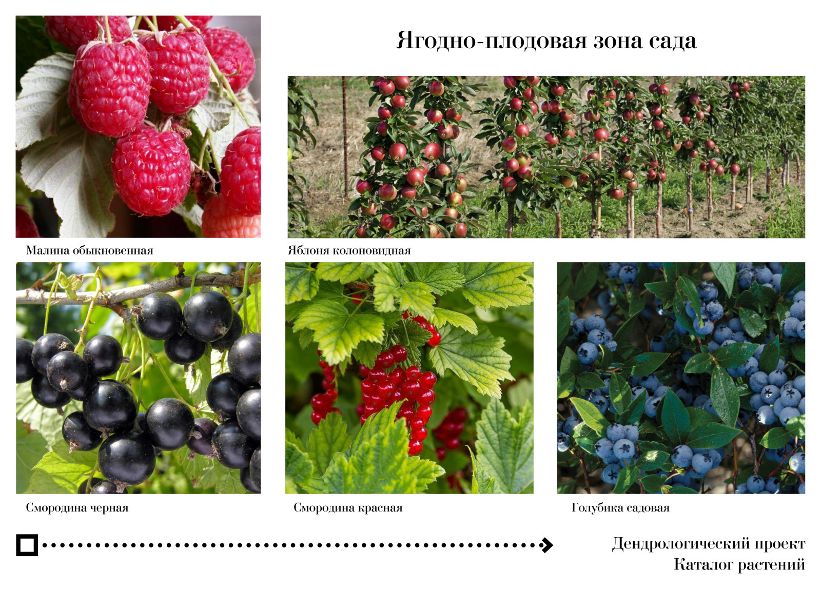 Сад с Конюшней