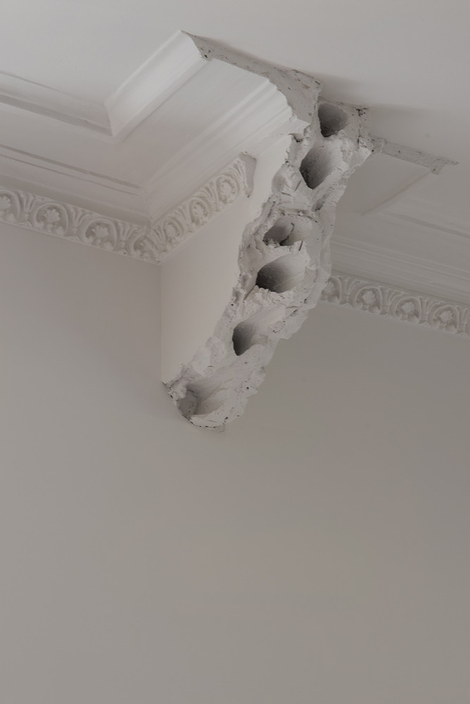 Библиотека