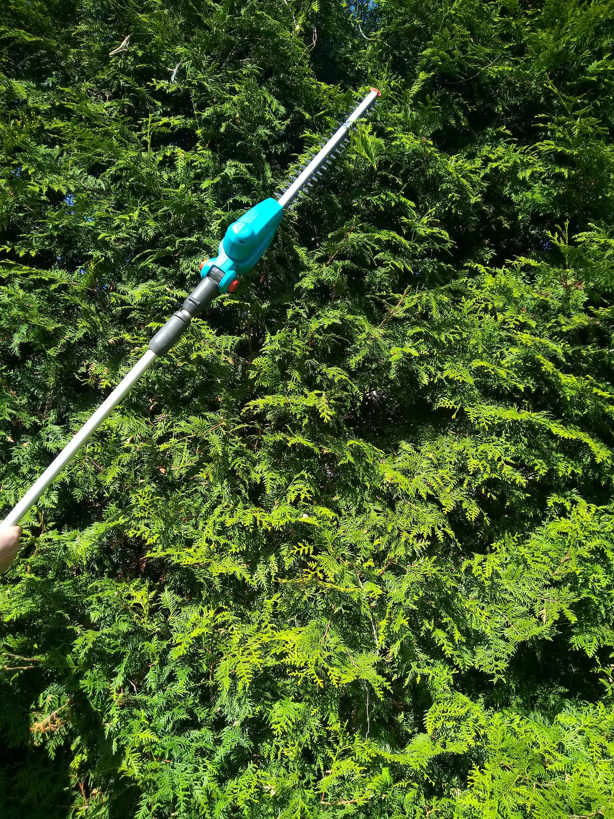 Уход за растениями г. Калининград