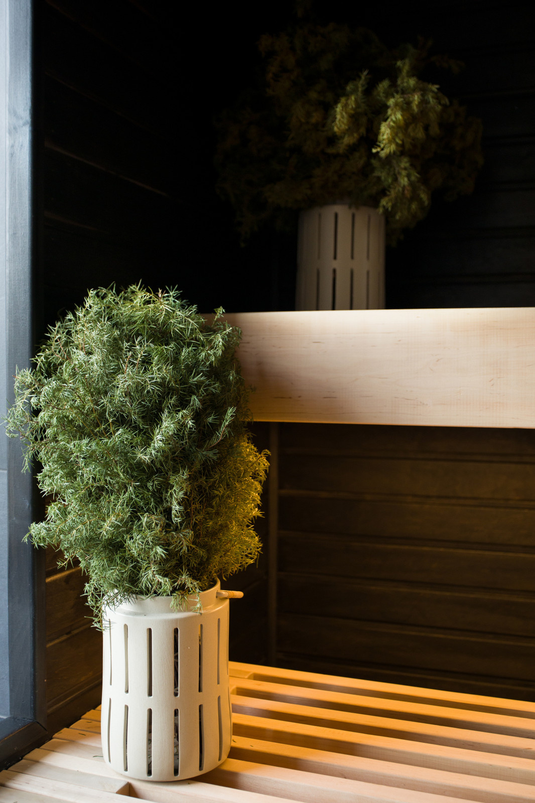 Из грязи в князи