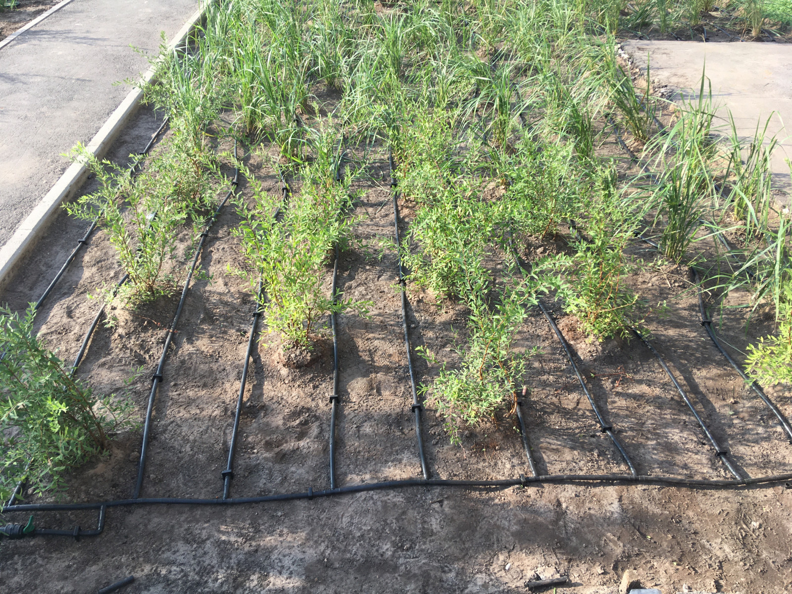 мкр Новый город