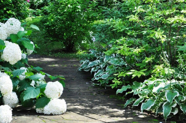 Архангельское