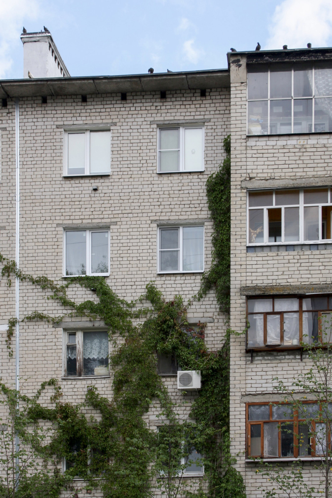 Дербышки