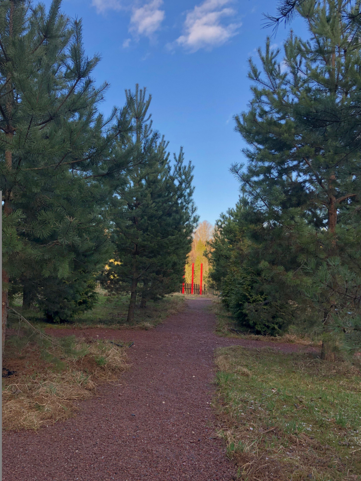 Дача в Подмосковье Pine's Color