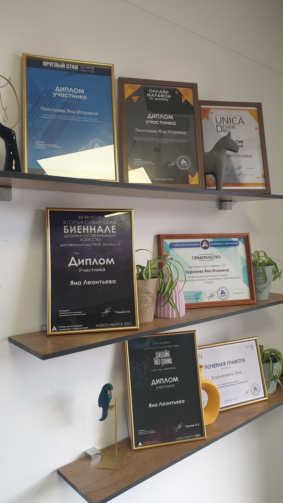 Дипломы и грамоты