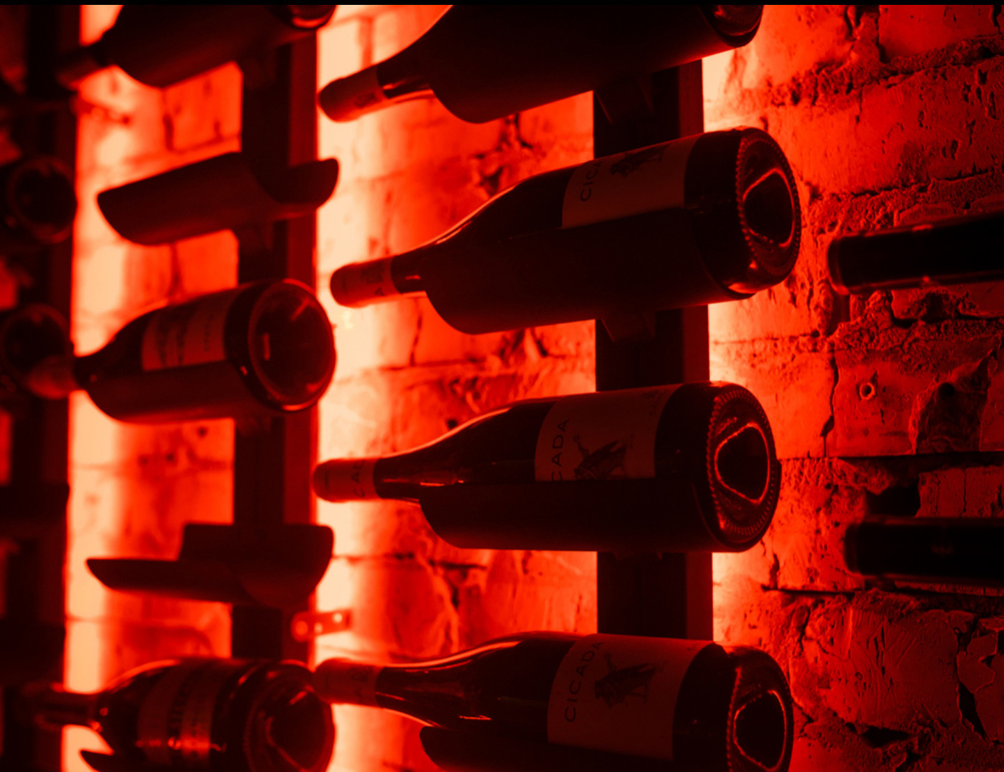 Бар Виновник