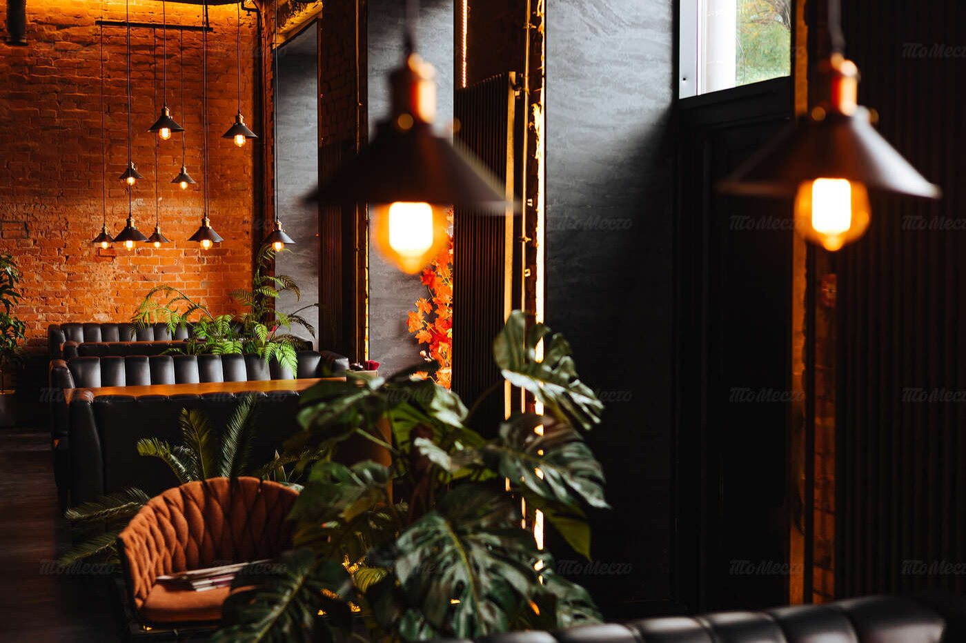 Бар Виновник