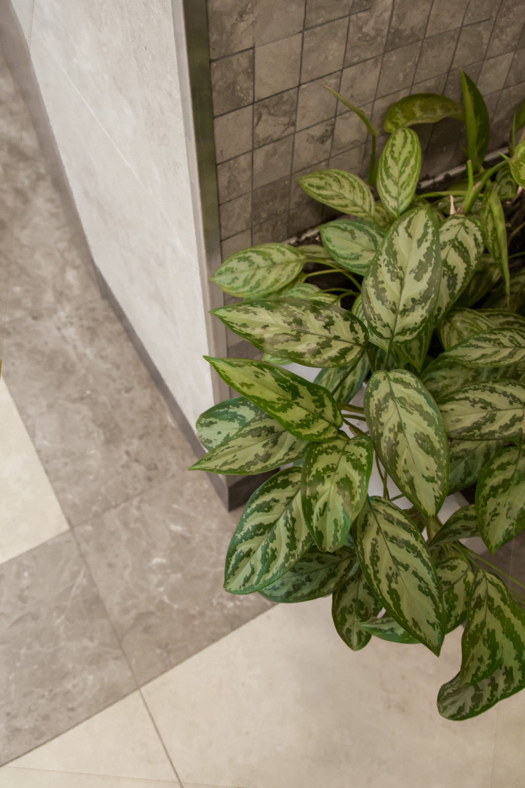 ЖК Богородский