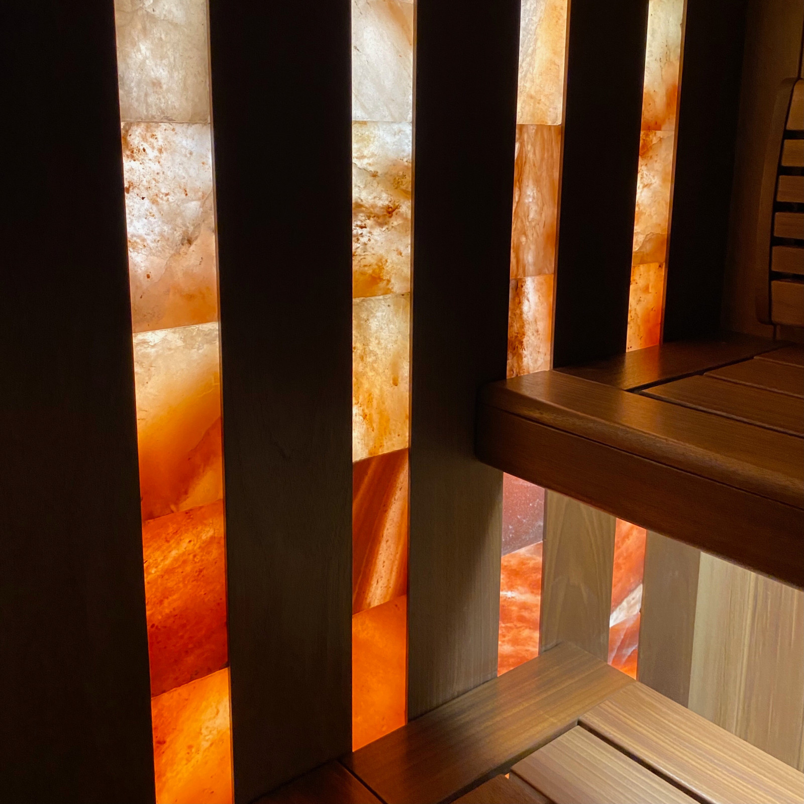 ПРОЕКТ «НАЧАЛО»: