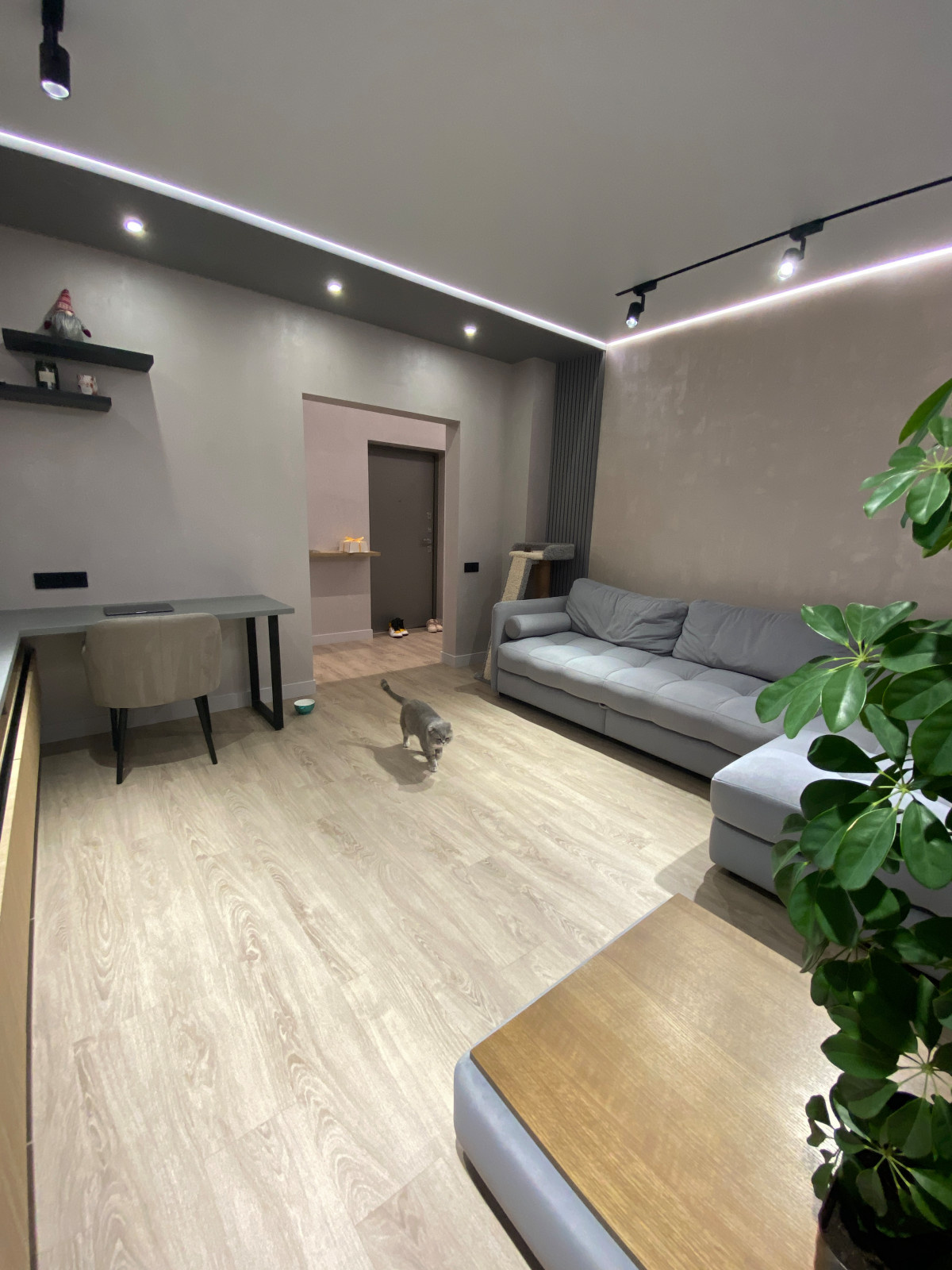 2-к квартира, 62 кв.м.