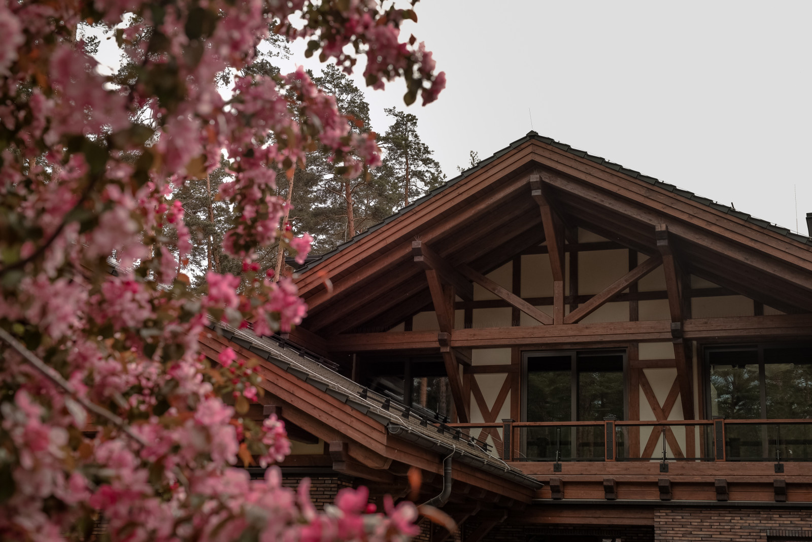 Обложка проекта: Сад Sat